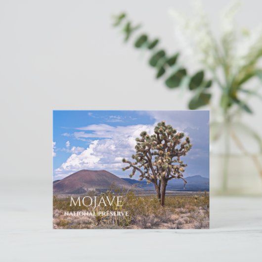 Cinder Cones, Joshua Tree, Mojave N Preserve, Cali Briefkaart (Staand voorkant)