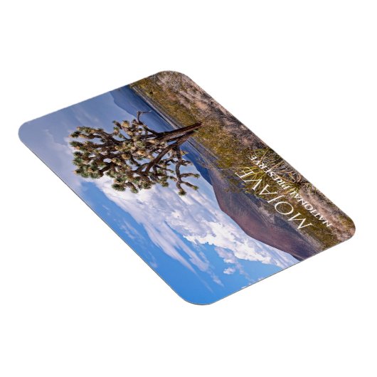 Cinder Cones, Joshua Tree, Mojave N Preserve, Cali Magneet (Rechterzijde)