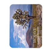 Cinder Cones, Joshua Tree, Mojave N Preserve, Cali Magneet (Verticaal)