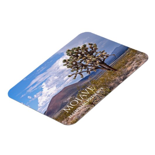 Cinder Cones, Joshua Tree, Mojave N Preserve, Cali Magneet (Linkerzijde)