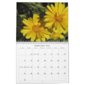 Cindy's Garden Collectie Calendar Kalender (Feb 2027)