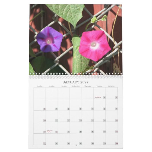 Cindy's Garden Collectie Calendar Kalender (Jan 2027)
