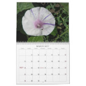 Cindy's Garden Collectie Calendar Kalender (Mar 2027)