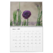 Cindy's Tuingkalender met Healing Scriptures Kalender (Mar 2027)
