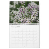 Cindy's Tuingkalender met Healing Scriptures Kalender (Feb 2026)