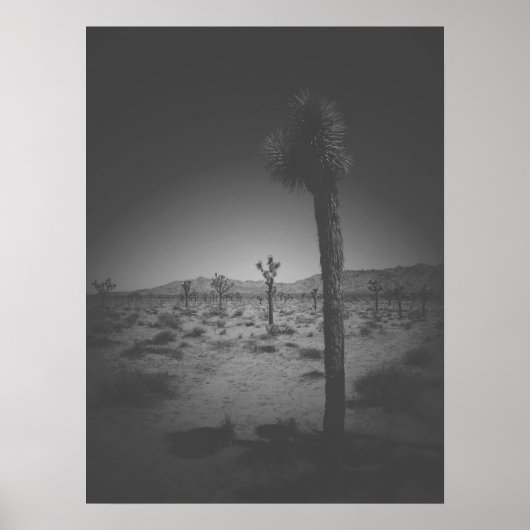 Cinematic Black and White Field of Joshua Trees Poster (Voorkant)
