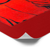 Cinematografie - Poster (Hoek)