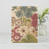 Cineraria | George Nicholson (Staand voorkant)