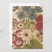 Cineraria | George Nicholson (Voorkant / Achterkant)