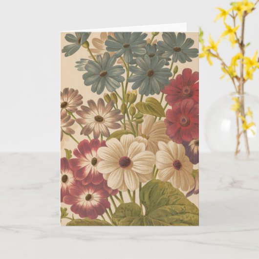 Cineraria | George Nicholson Kaart (Gele Bloem)