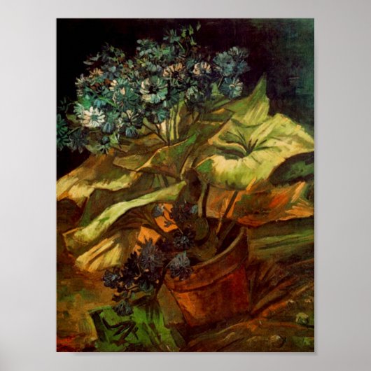 Cineraria in een druppel, Van Gogh Fine Art Poster (Voorkant)