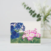 Cineraria van Tanigami Konan Briefkaart (Staand voorkant)