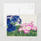 Cineraria van Tanigami Konan Briefkaart (Voorkant / Achterkant)