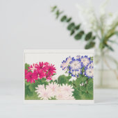 Cineraria van Tanigami Konan Briefkaart (Staand voorkant)