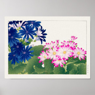 Cineraria van Tanigami Konan Poster