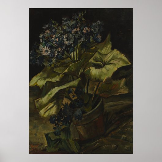Cineraria van Vincent Van Gogh Poster (Voorkant)