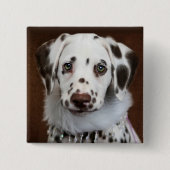 Cinnabon Dalmatian Vierkante Button 5,1 Cm (Voorkant)