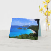 Cinnamon Bay Panorama, St. John, Verenigde Staten Kaart (Gele Bloem)