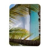 Cinnamon Bay, St. John, USVI Magnet Magneet (Verticaal)