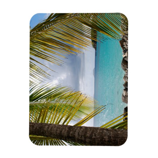 Cinnamon Bay, St. John, USVI Magnet Magneet (Verticaal)
