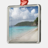 Cinnamon Bay, St. John USVI Metalen Ornament (Links)