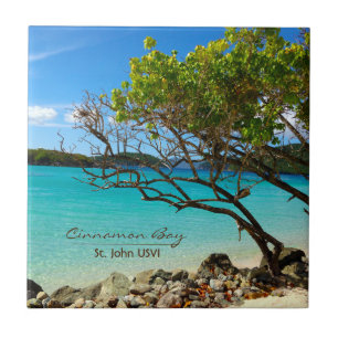 Cinnamon Bay St. John USVI Tropical Tile Art Tegeltje