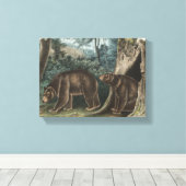 Cinnamon Beer Audubon Canvas Afdruk (Insitu (Houten vloer))