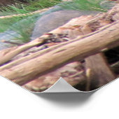 Cinnamon Beer Poster (Hoek)