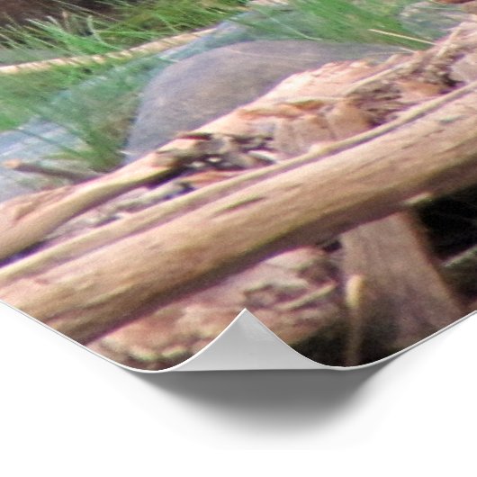 Cinnamon Beer Poster (Hoek)