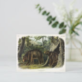 Cinnamon Beer uit Audubon's Quadrupeds Briefkaart (Staand voorkant)
