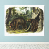 Cinnamon Beer uit Audubon's Quadrupeds Canvas Afdruk (Insitu (Houten vloer))
