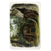 Cinnamon Beer uit Audubon's Quadrupeds Magneet (Verticaal)
