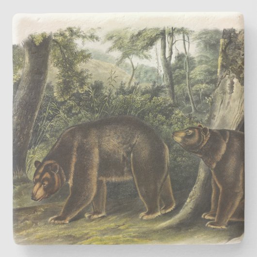 Cinnamon Beer uit Audubon's Quadrupeds Stenen Onderzetter (Voorkant)