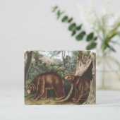 Cinnamon Beer (Ursus Americanus var. kaneel) Briefkaart (Staand voorkant)