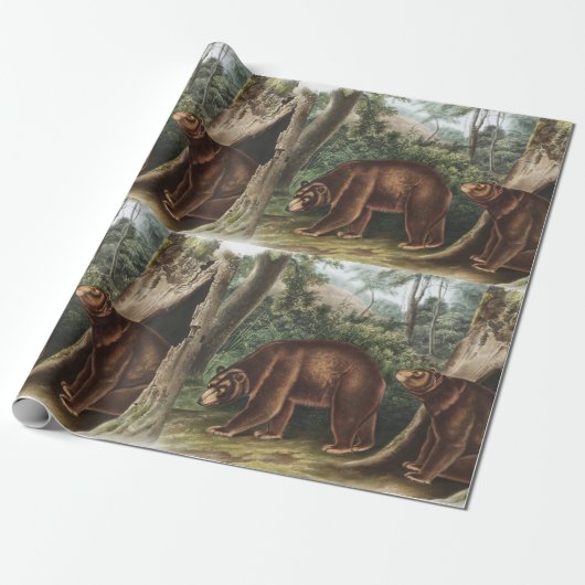 Cinnamon Beer (Ursus Americanus var. kaneel) Cadeaupapier (Uitgerold)