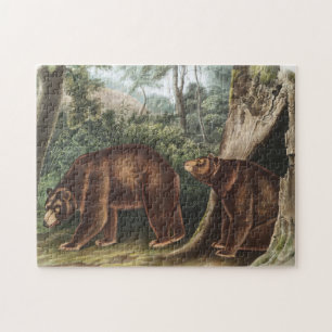 Cinnamon Beer (Ursus Americanus var. kaneel) Legpuzzel