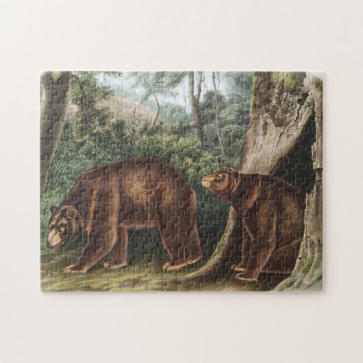 Cinnamon Beer (Ursus Americanus var. kaneel) Legpuzzel (Horizontaal)