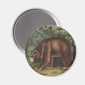 Cinnamon Beer (Ursus Americanus var. kaneel) Magneet (Voorkant / Achterkant)