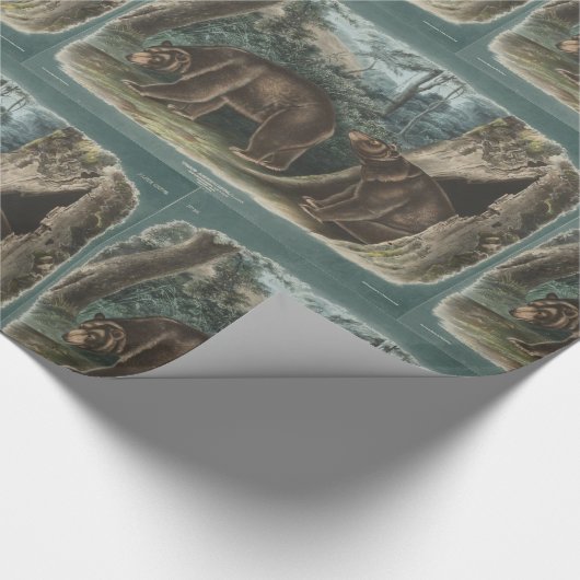 Cinnamon Beer van John James Audubon Cadeaupapier (Hoek)