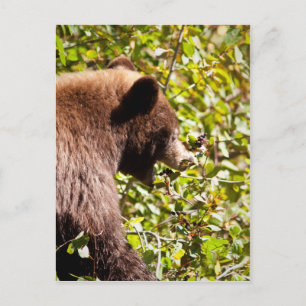 Cinnamon Black Beer Briefkaart