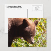 Cinnamon Black Beer Briefkaart (Voorkant / Achterkant)