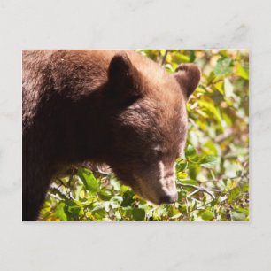 Cinnamon Black Beer Briefkaart