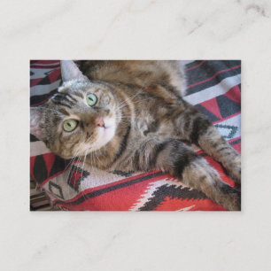 cinnamon cat aceo atc visitekaartje
