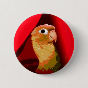 Cinnamon Green Cheek Conure Paraket Pet Bird Ronde Button 5,7 Cm