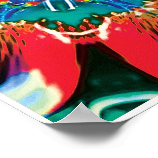 Cinnamon Kinetic Collage Kaleidoscope Poster (Hoek)