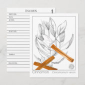 Cinnamon Spice Materia Medica Monograph Herbal Briefkaart (Voorkant / Achterkant)