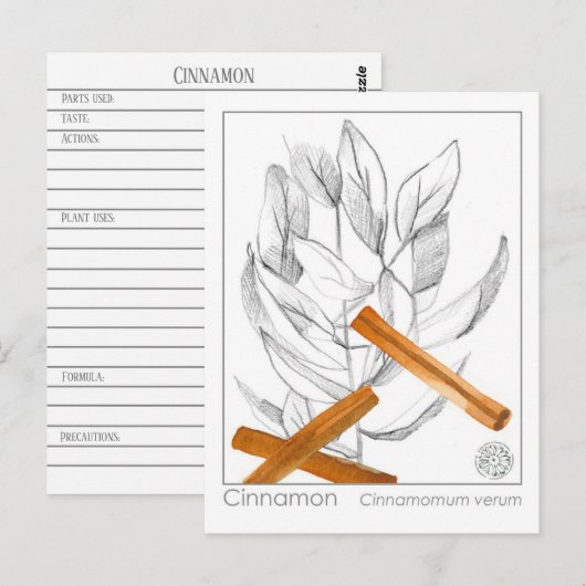 Cinnamon Spice Materia Medica Monograph Herbal Briefkaart (Voorkant / Achterkant)