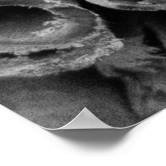 Cinnamon Sticks Poster (Hoek)