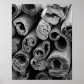 Cinnamon Sticks Poster (Voorkant)