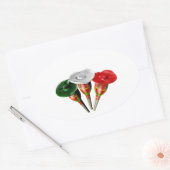 Cinqo de Mayo Ovale Sticker (Envelop)